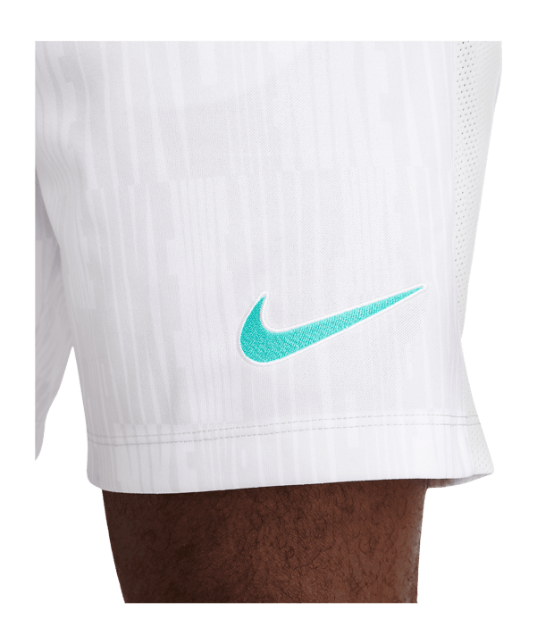 Nike Academy Plus Short Grau F025 - grau