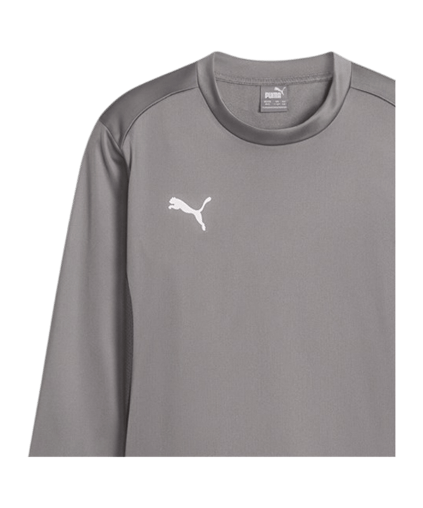PUMA teamGOAL Training Sweatshirt Kids Grau F13 - grau