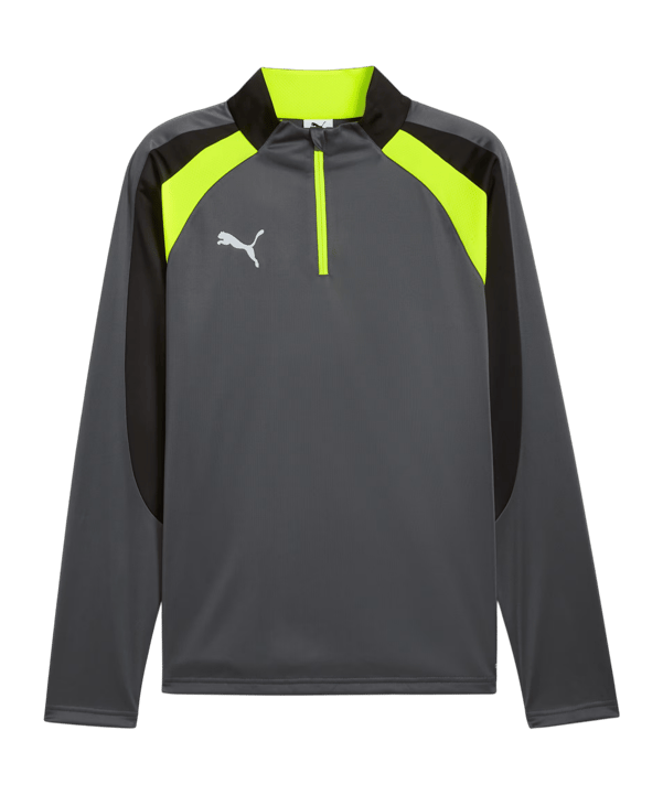 PUMA Sweatshirt Grau F08 - grau