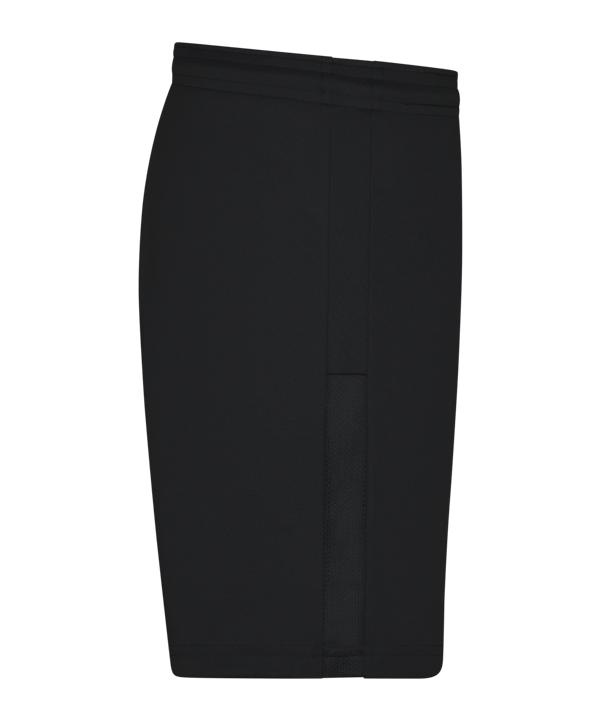 PUMA teamGOAL 23 Knit Shorts Damen Schwarz F03 - schwarz