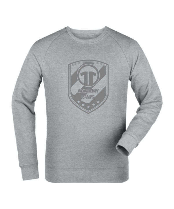 11ts Academy Sweatshirt Allgrey Grau - grau