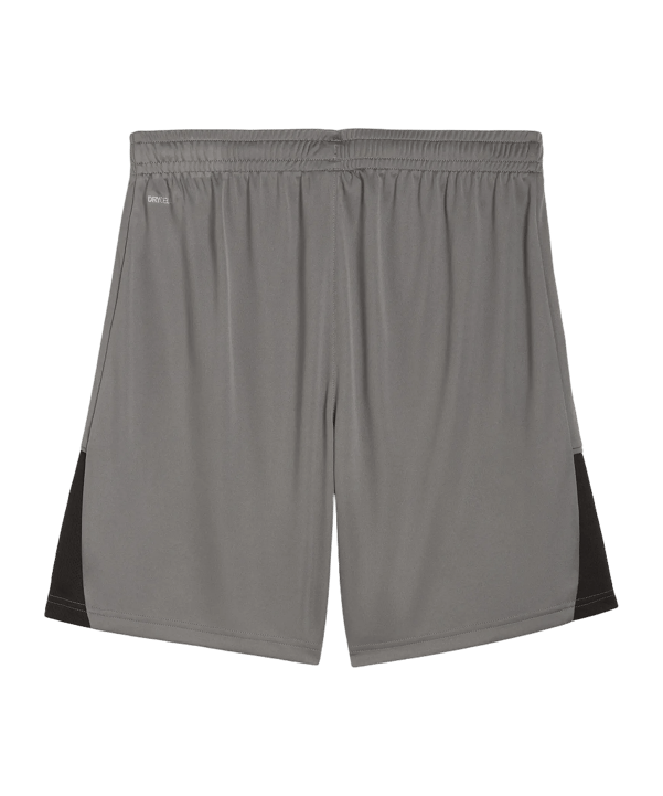 PUMA teamLIGA26 Short Grau F13 - grau