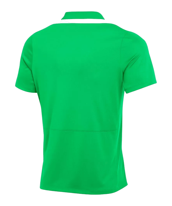 Nike Academy Pro 24 Poloshirt Grün F329 - gruen