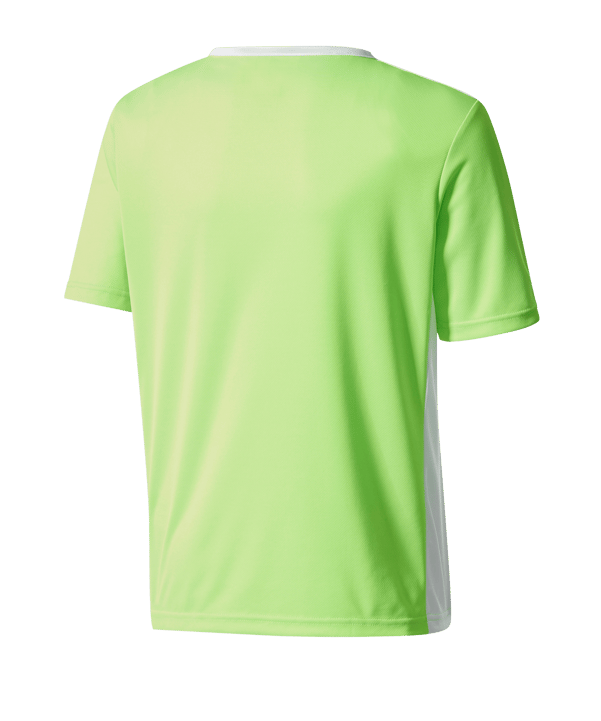 adidas Entrada Trikot 18 Kids Hellgrün Weiss - gruen