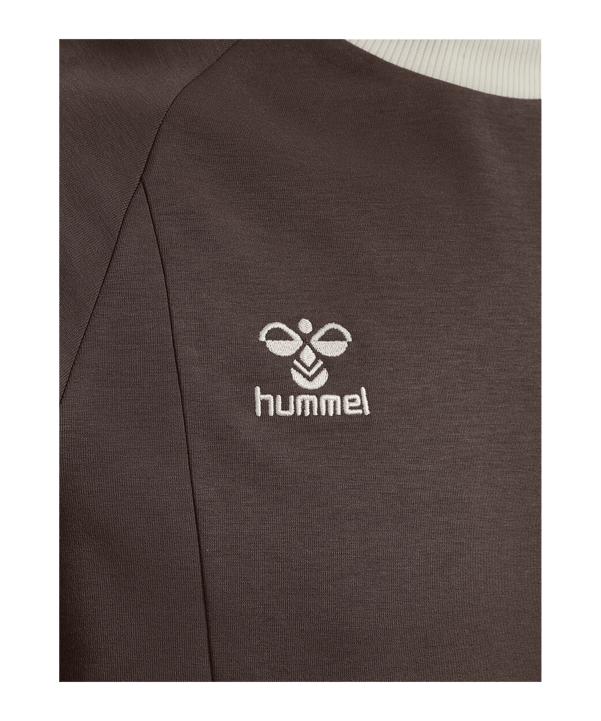 hummel Root T-Shirt Marron C8026 - brun