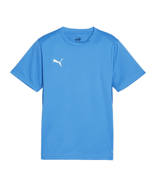 PUMA teamGOAL Trikot Kids Blau F02 - hellblau