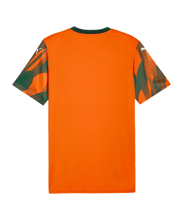 PUMA teamFINAL Graphic Maillot Orange C37 - orange
