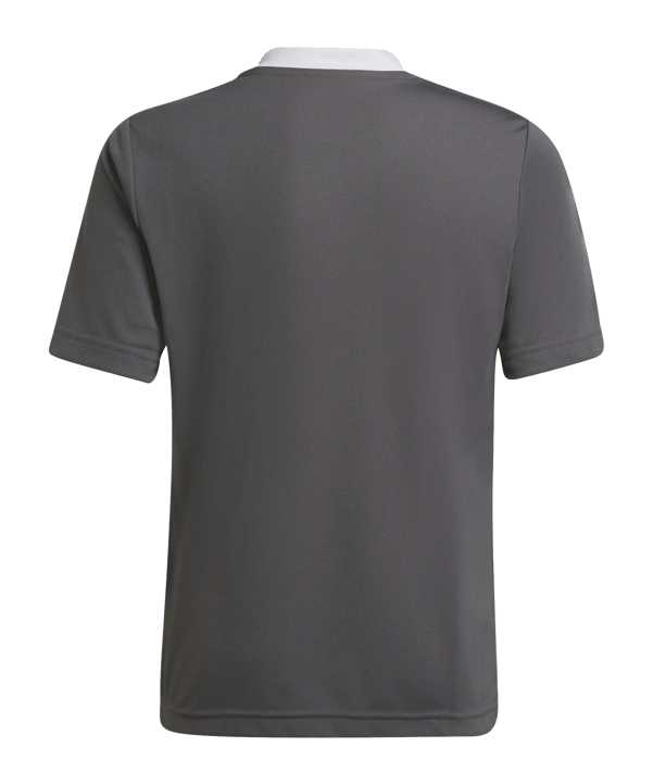 adidas Entrada 22 Trikot Kids Grau Weiss - grau