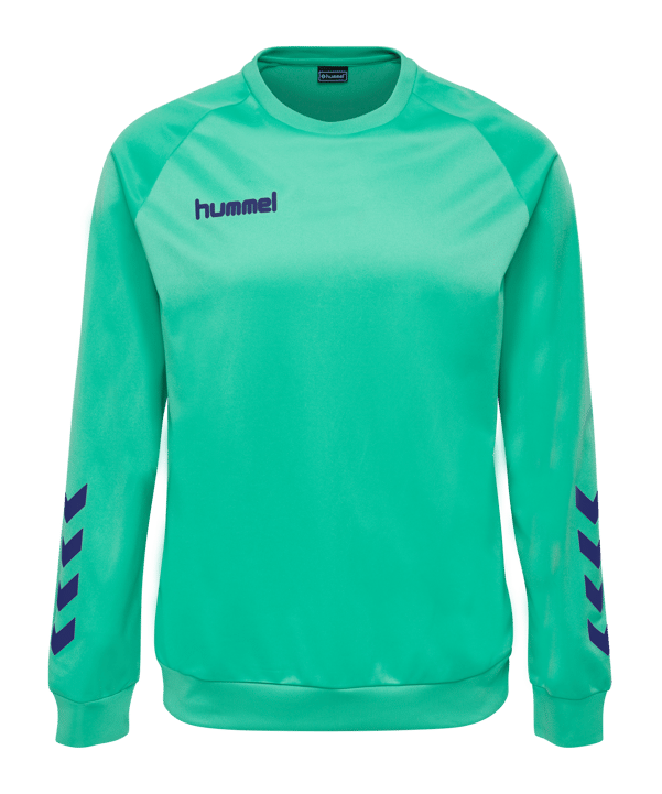 Hummel hmlPROMO Poly Sweatshirt Kids Blau F6507 - blau