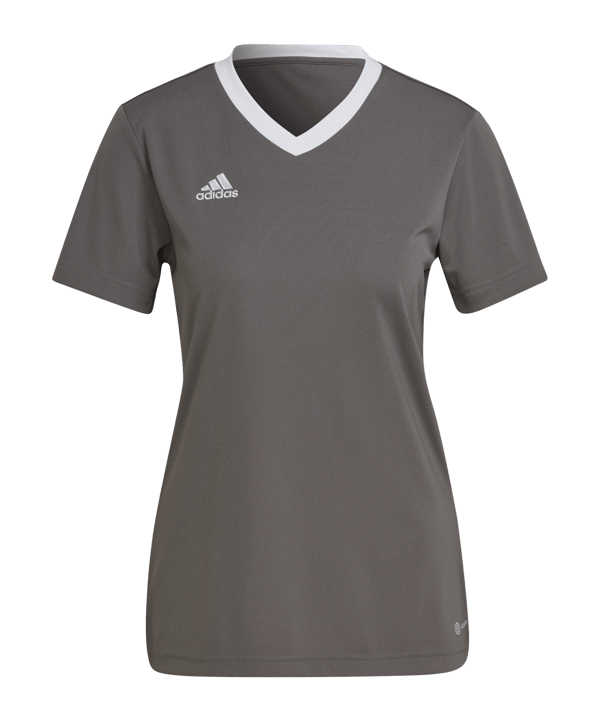 adidas Entrada 22 Trikot Damen Grau Weiss - grau