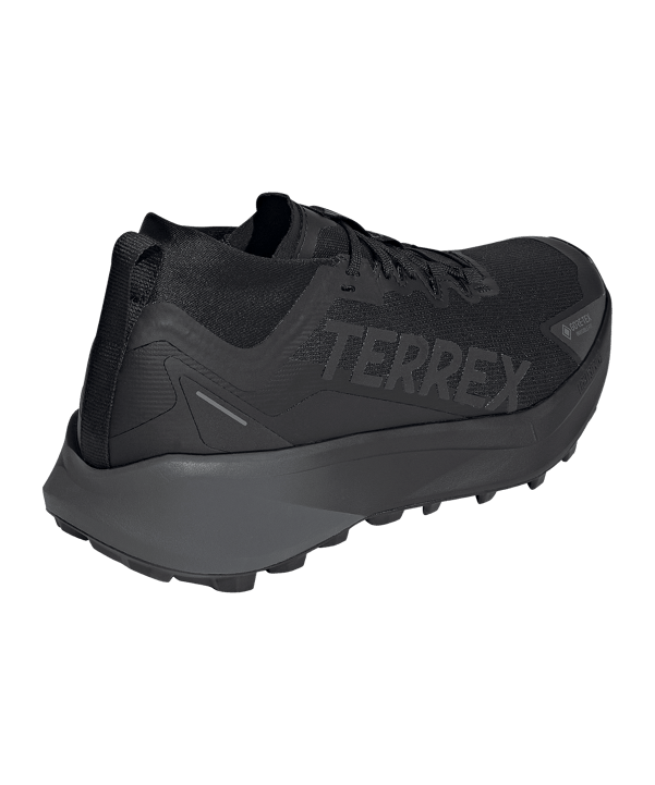 adidas Terrex Agravic Gtx Trailsschuh Schwarz - schwarz