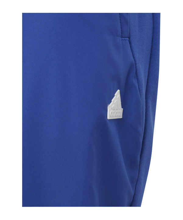 adidas D4GMDY Trainingshose Kids Blau Weiss - blau
