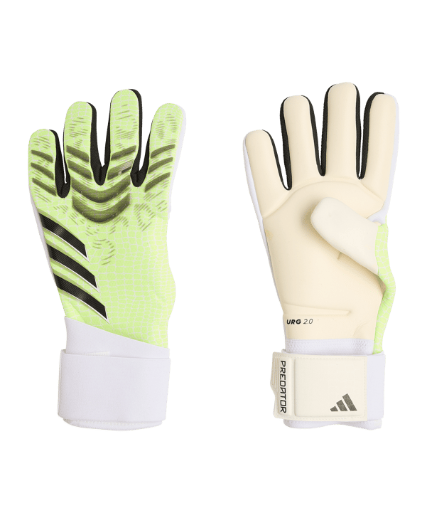 adidas Predator Competition Torwarthandschuhe Radiant Blaze Grün - gruen