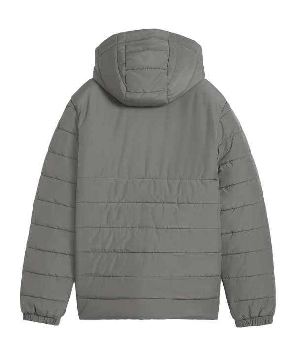 PUMA teamADDITIONS Veste Enfants Gris C13 - gris