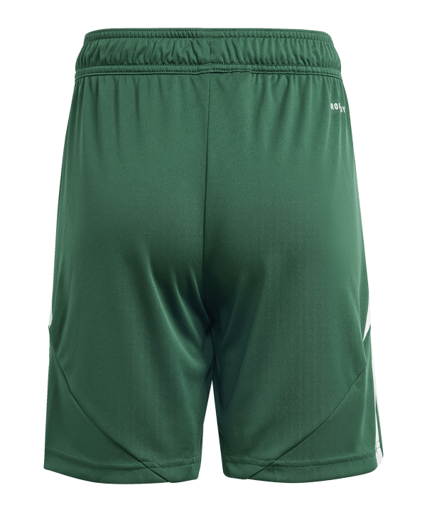 adidas Tiro 24 Pantalones cortos Kids Verde - verde