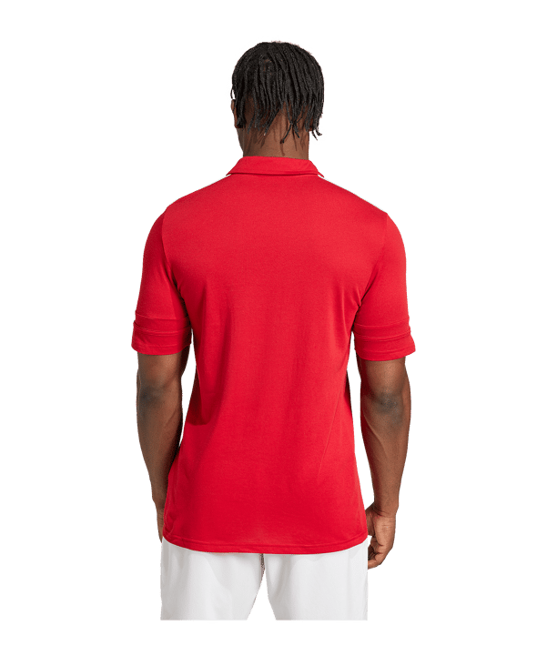 adidas Squadra 25 Polo Rot - rot