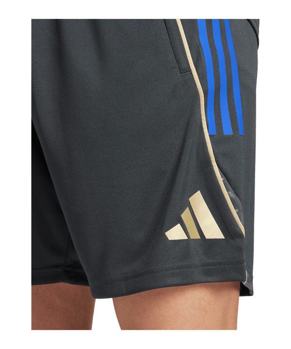 adidas Olympique Lyon Training Short Grau - grau