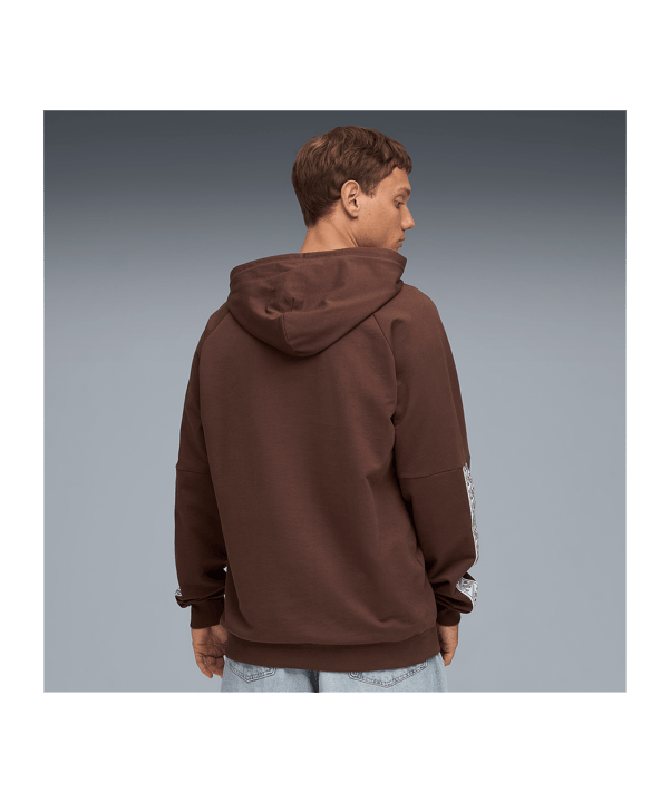 PUMA FC St. Pauli King Hoody Braun F01 - braun