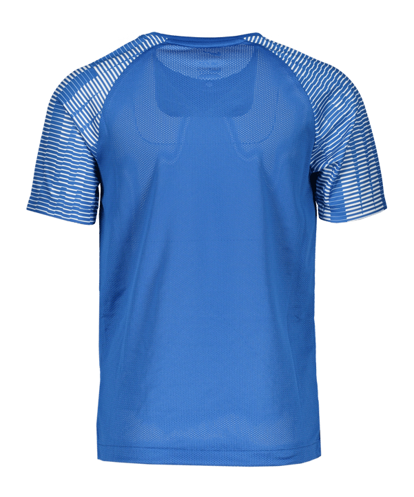 Nike Academy Trikot Kids Blau F463 - blau