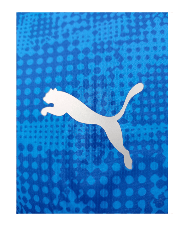 PUMA teamCUP Trikot Blau F002 - blau