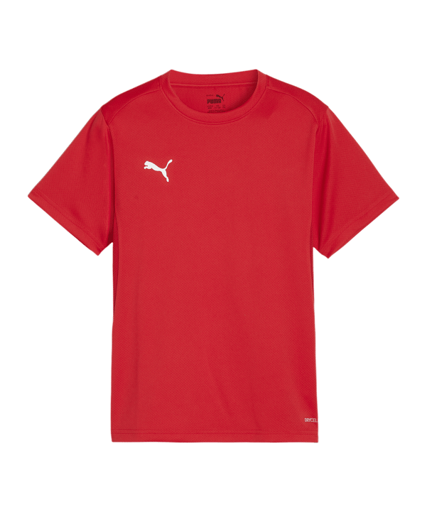 PUMA teamGOAL Trikot Kids Rot F01 - rot