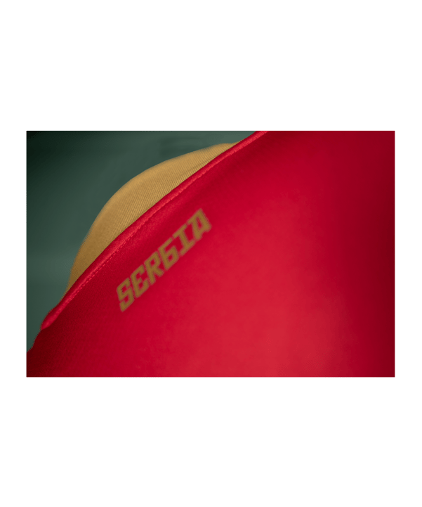 PUMA Serbien Trikot Home WM 2022 Rot F01 - rot