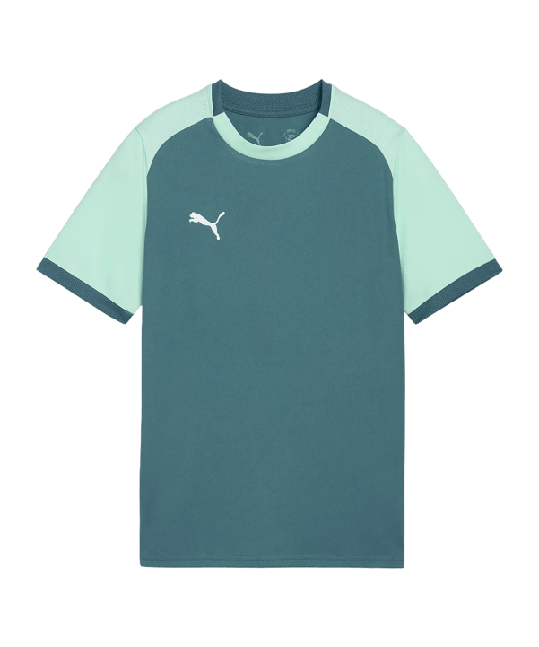 PUMA teamLIGA26 Matchday Trikot Kids Grün F43 - gruen