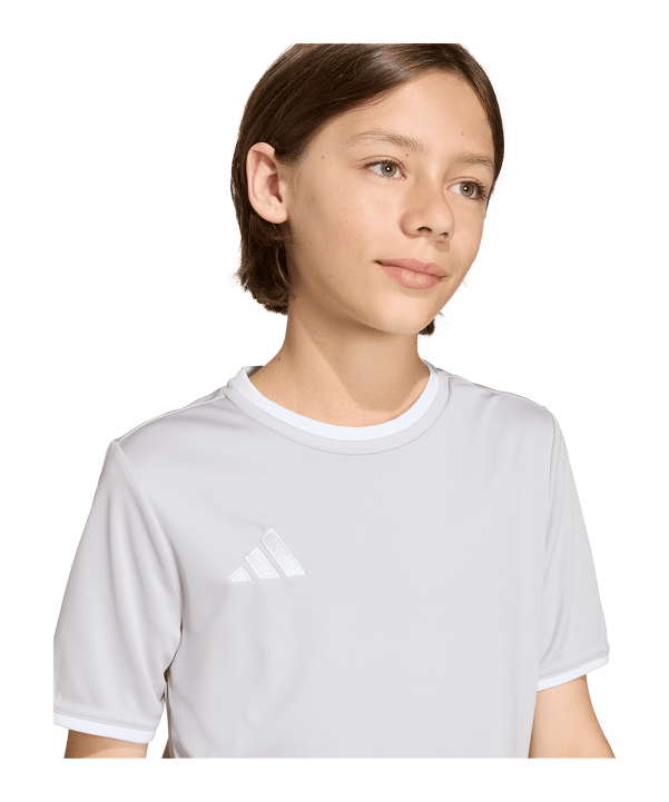 adidas Entrada 26 Trikot Kids Grau - grau
