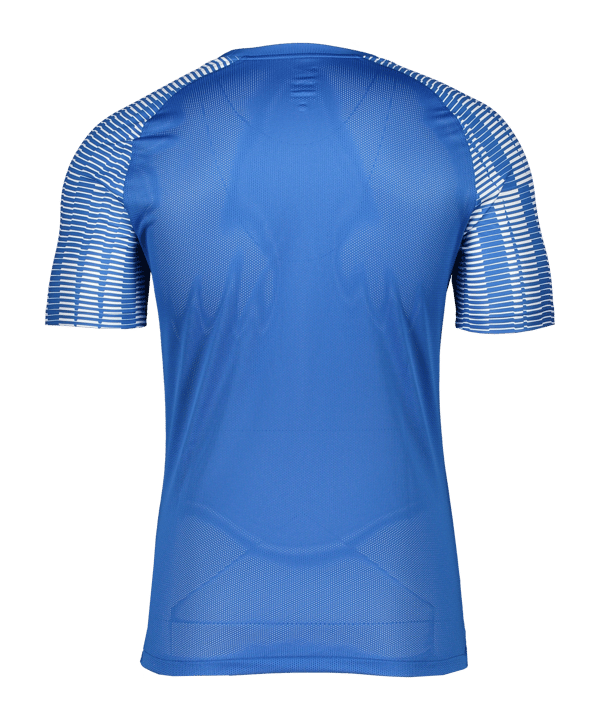 Nike Academy Trikot Blau Weiss F463 - blau