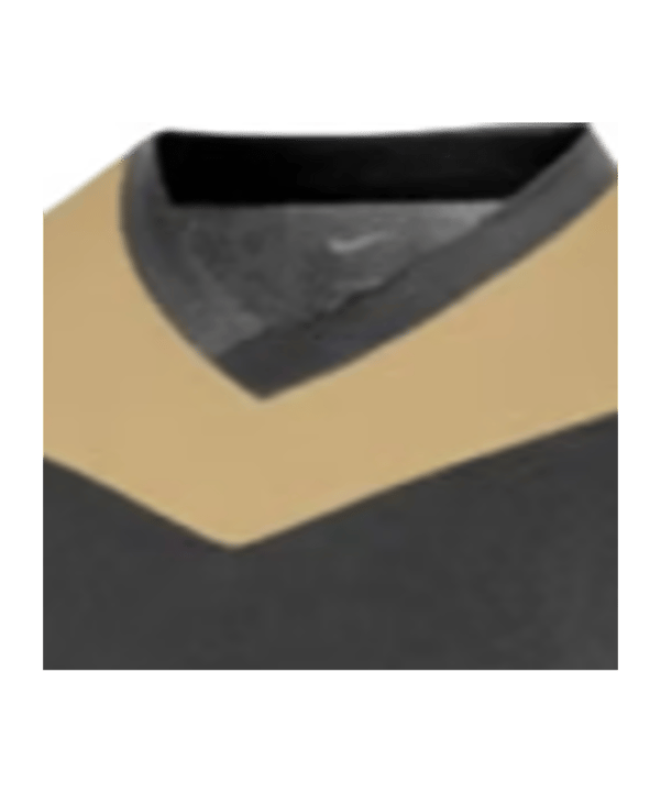 Nike Park Derby IV Trikot Schwarz Gold F011 - schwarz