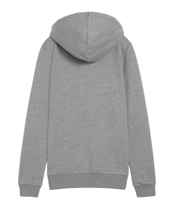 PUMA teamGOAL Casuals Hoody Damen Grau F33 - grau