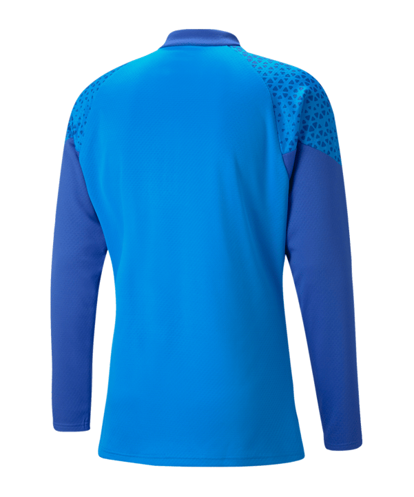 PUMA teamCUP HalfZip Sweatshirt Blau F02 - blau