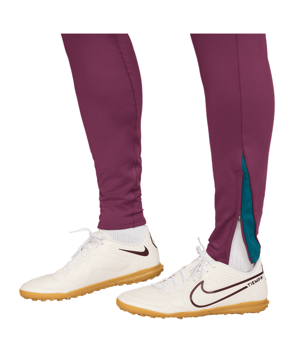 Nike Paris St. Germain Trainingshose Rot F610 - rot