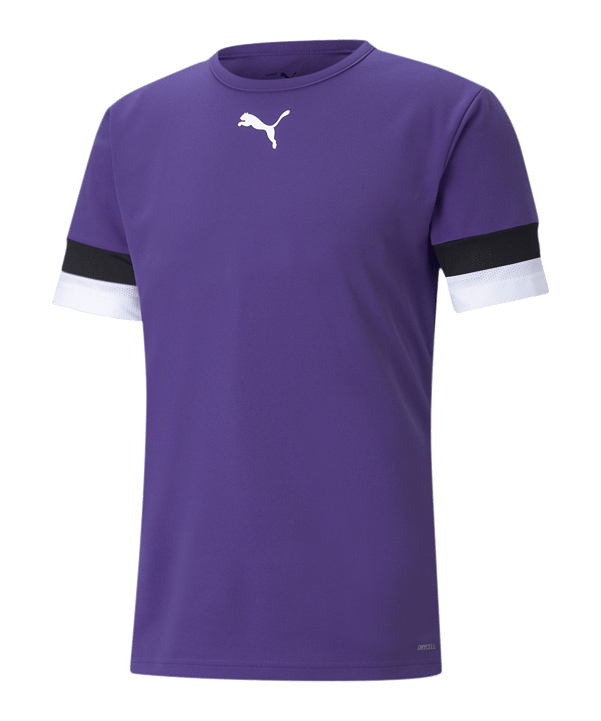 PUMA teamRISE Trikot Lila F10 - lila