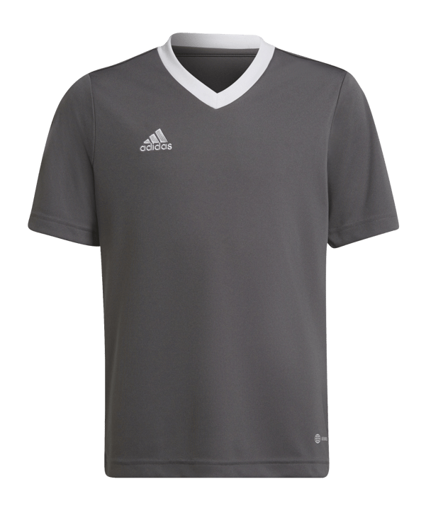 adidas Entrada 22 Trikot Kids Grau Weiss - grau