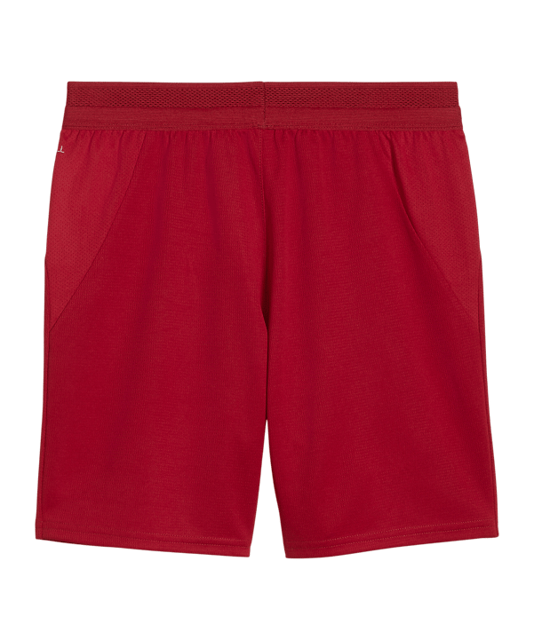 PUMA Galatasaray Istanbul Replica Short 2026/2027 Kids Rot F01 - rot
