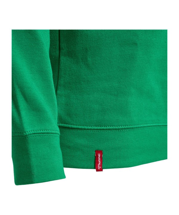 Hummel hmlRED Classic Hoody Grün F6235 - gruen