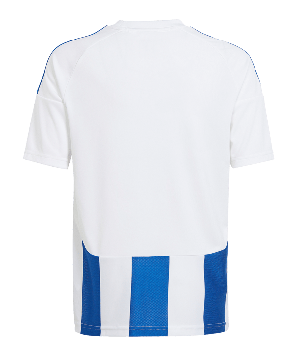adidas Striped 24 Trikot Kids Weiss Blau - weiss