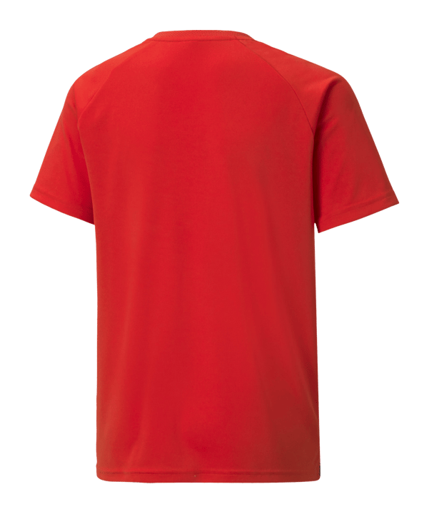 PUMA teamLIGA Striped Trikot Kids Rot Schwarz F01 - rot