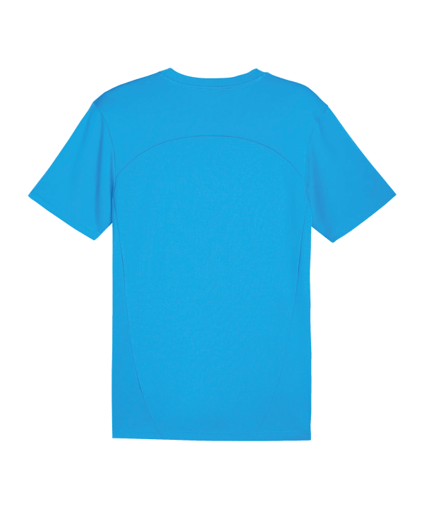 PUMA SKU Amstetten Trainingshirt Blau F02 - blau