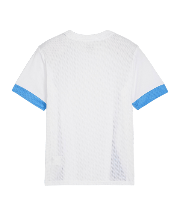 PUMA teamGOAL Matchday Trikot Kids Weiss Blau F12 - weiss