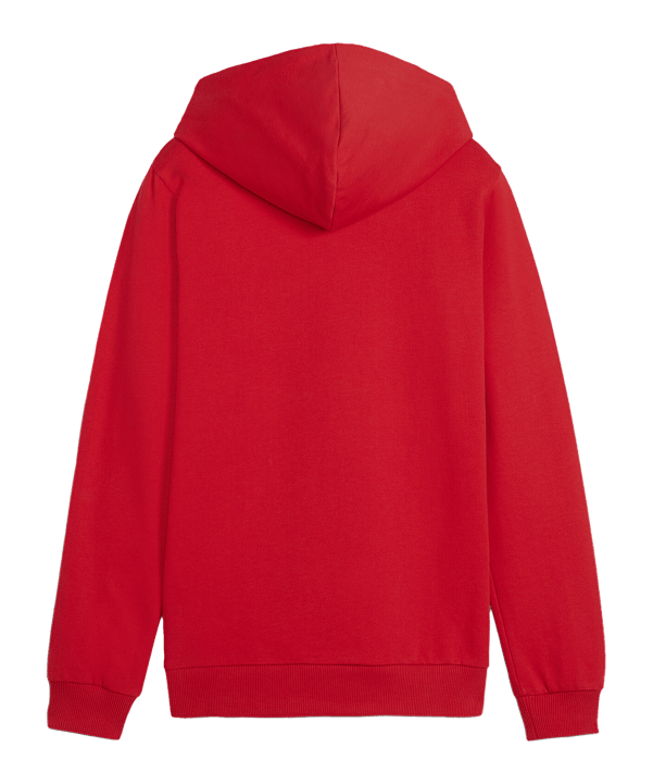 PUMA teamGOAL Casuals Hoody Kids Rot F01 - rot