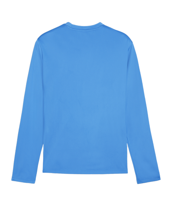 PUMA teamGOAL Training Sweatshirt Blau F02 - hellblau