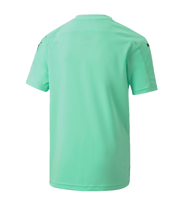 PUMA teamFINAL 21 Graphic Trikot kurzarm Grün F21 - gruen