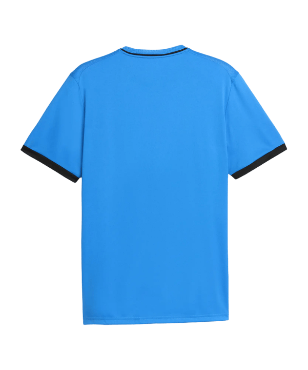 PUMA teamLIGA26 Striped Trikot Blau F12 - blau