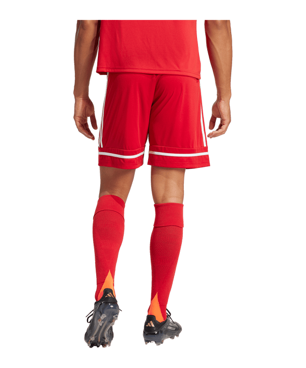 adidas Squadra 25 Short Rot - rot