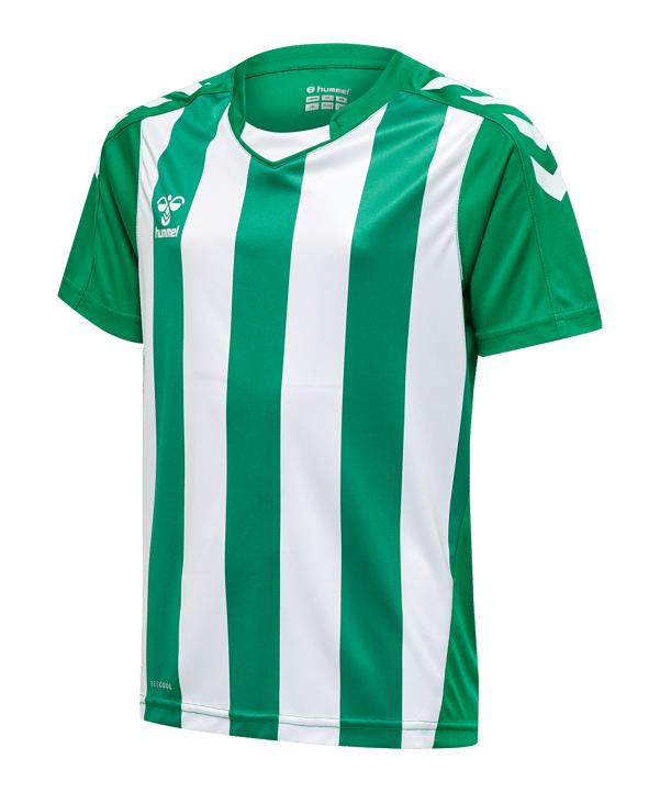 Hummel hmlCore XK Striped Trikot Kids Grün F6129 - gruen