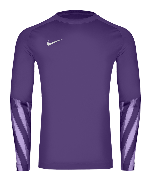 Nike Park V Trikot langarm Lila F507 - lila
