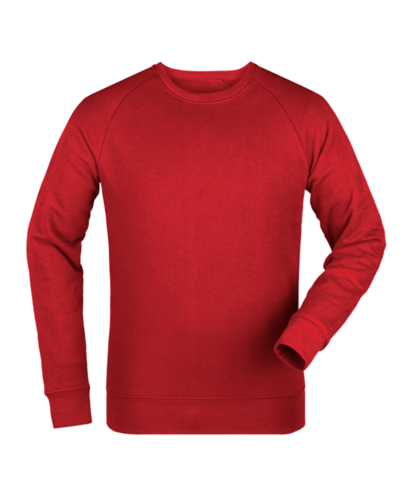 Merch Roller Sweatshirt Red FC004 - rot