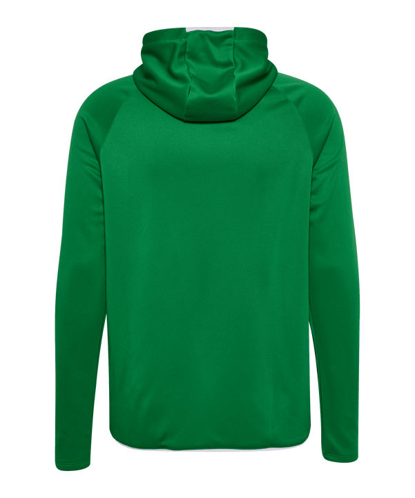 hummel Core 2.0 Hoody Grün F6129 - gruen